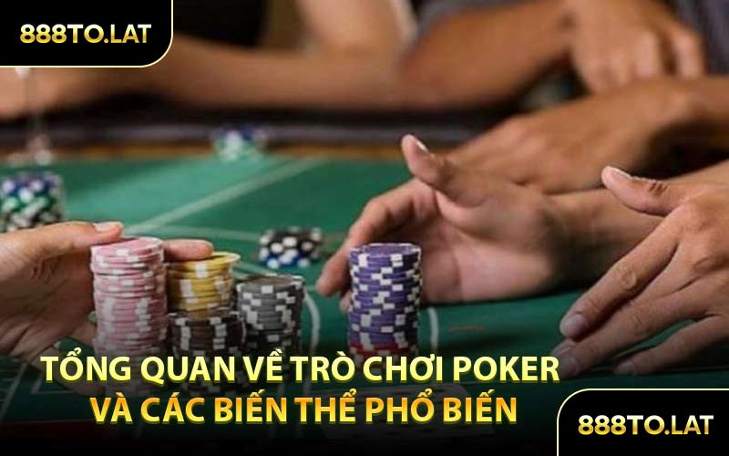 Tổng quan về trò chơi Poker và các biến thể phổ biến