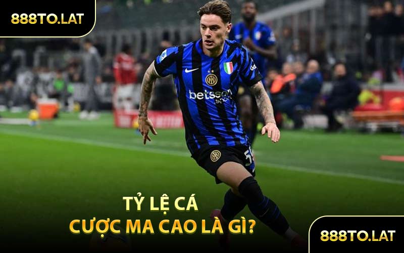 Tỷ Lệ Cá Cược Ma Cao Là Gì?