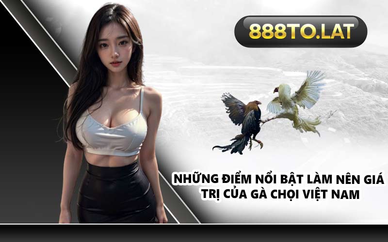 Những điểm nổi bật làm nên giá trị của gà chọi Việt Nam